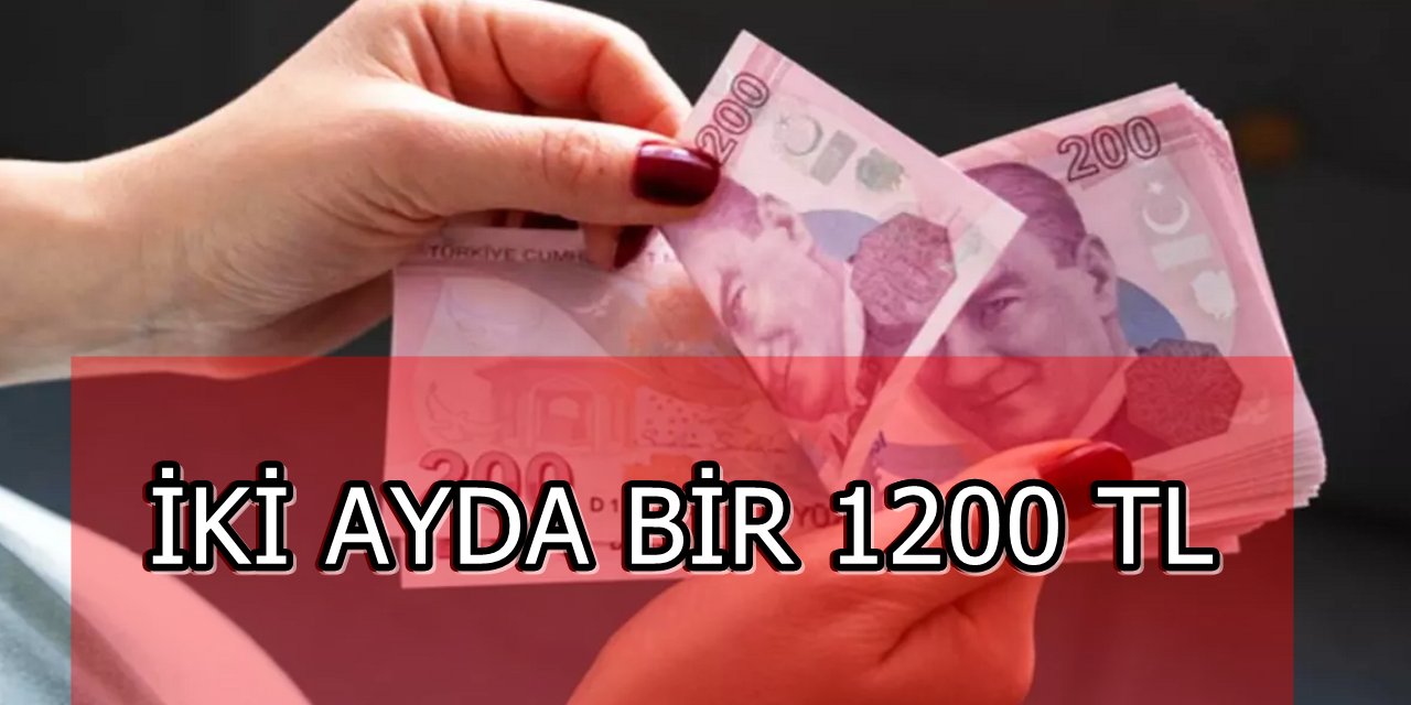 İki Ayda Bir 1200 TL Ödemenizi Alın! Bakanlık Düzenli Olarak Parayı Hesaba Yatırıyor!