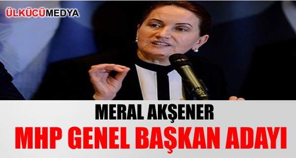 Meral Akşener MHP Genel Başkan Adayı
