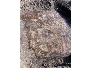 Kaçak Kazı, Roma Dönemi'ne Ait Taban Mozaiklerini Ortaya Çıkardı