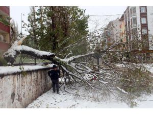 Ardahan'da Okullara Kar Tatili