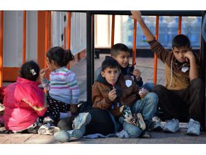 Dikili'de Lastik Botta 60 Kaçak Yakalandı