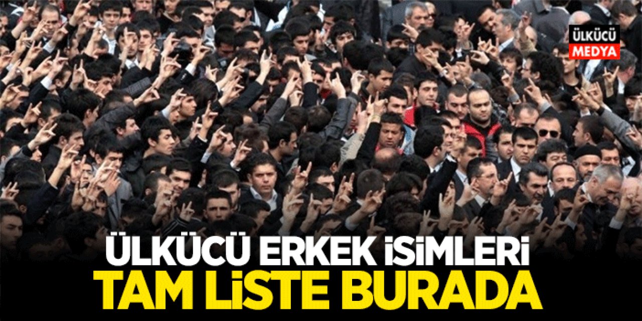 Ülkücü Erkek Bebek İsimleri Tam Liste! Ülkücü Çocuk İsimleri..