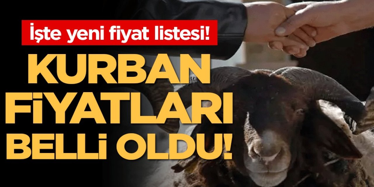 2025 Kurbanlık Fiyatları Açıklandı! Büyükbaş ve Küçükbaş Kurbanlık Yeni Fiyat Listesi..
