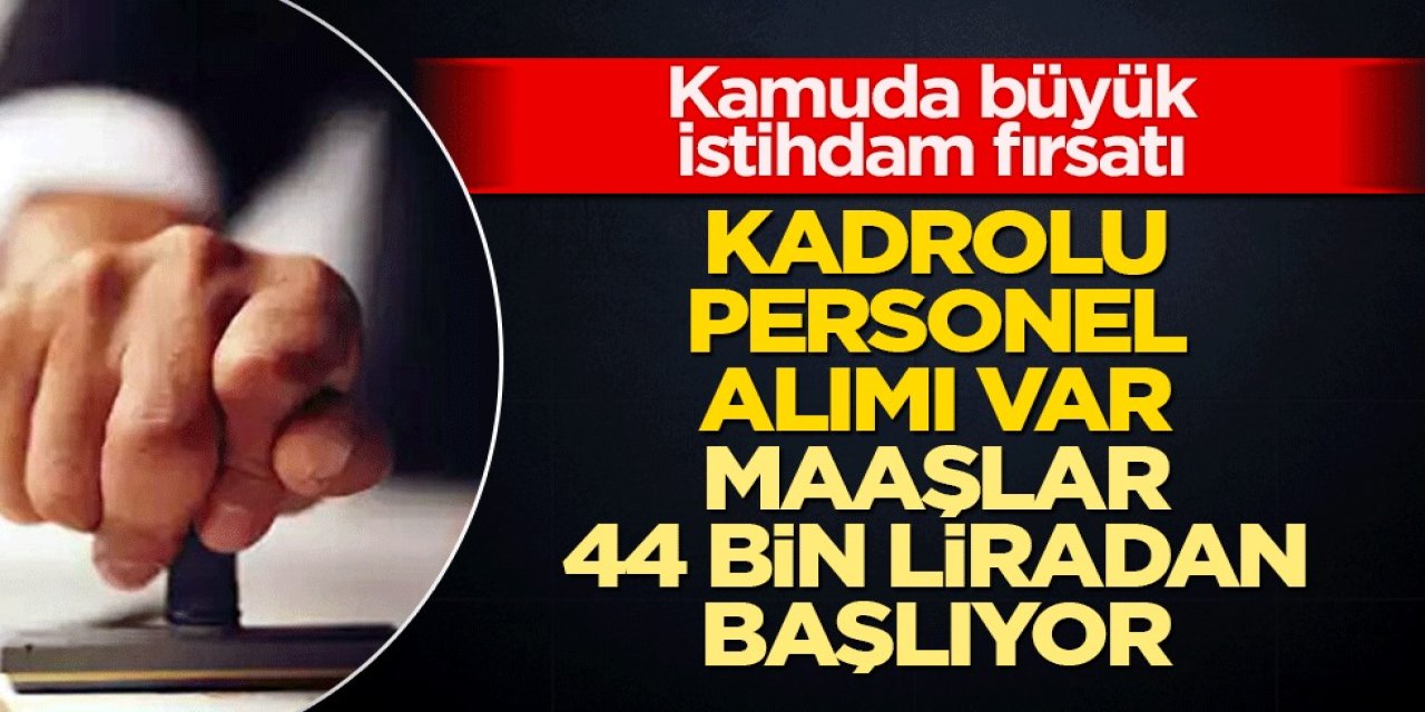 Kamuda Büyük Alım Başladı: Kadrolu Personel ve Memur İstihdamı, Maaşlar 44 Bin TL’den Başlıyor