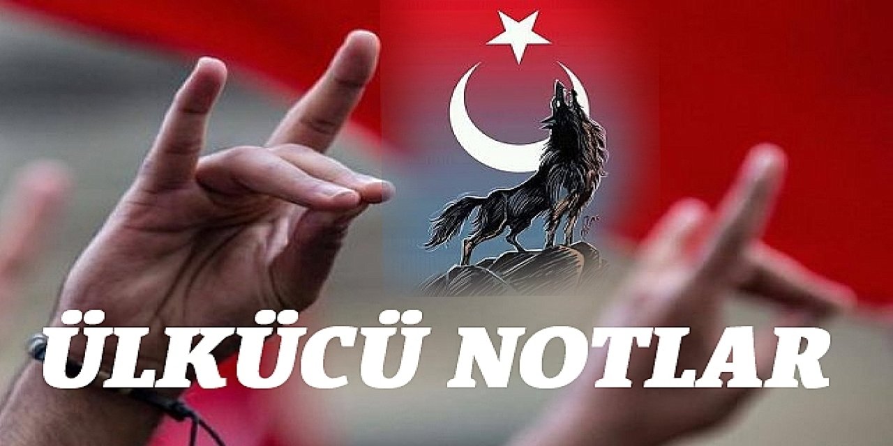 Ülkücü Notlar: Türk Milliyetçiliğinin Dünü, Bugünü ve Geleceğe Yansıyan Mirası