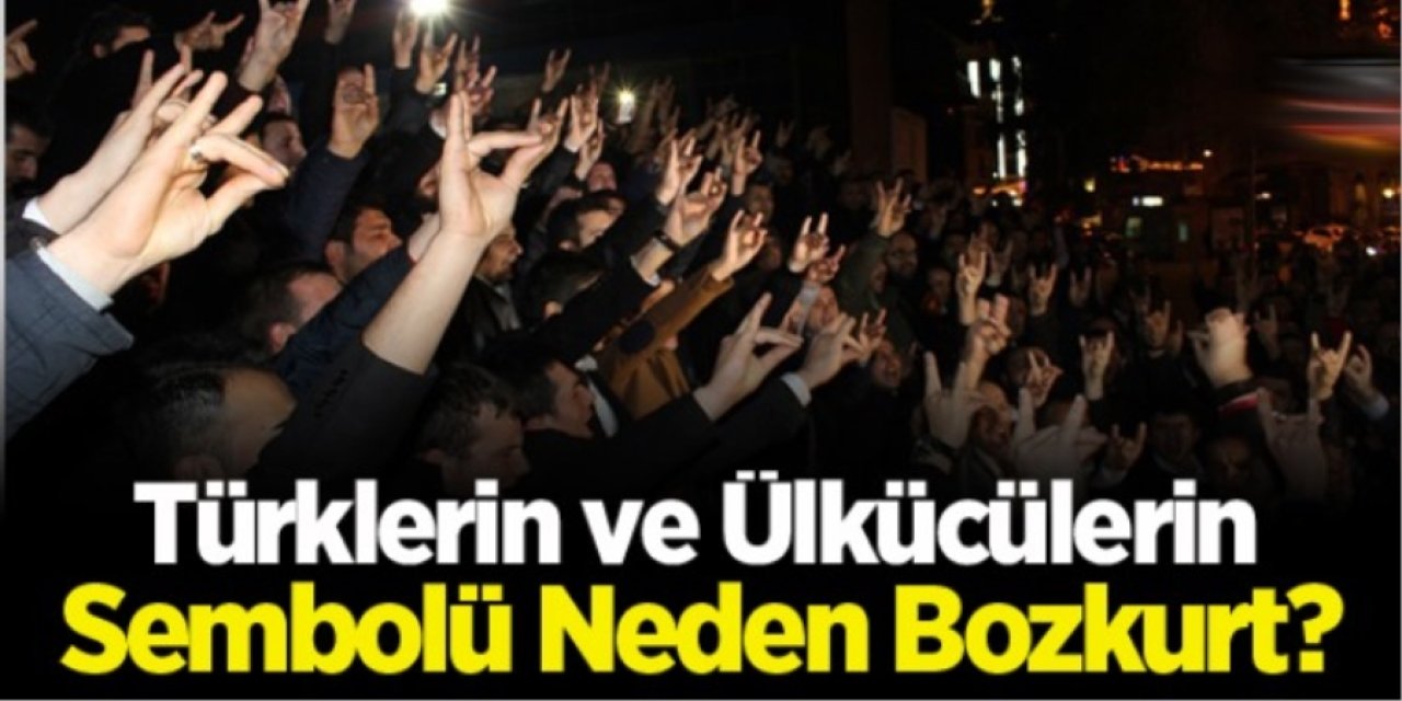 Türklerin ve Ülkücülerin Sembolü Neden Bozkurt? Bozkurt İşaretinin Tarihi ve Anlamı