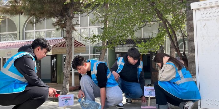 KIRŞEHİR’DE ANLAMLI HAREKET: SOKAK HAYVANLARI UNUTULMADI