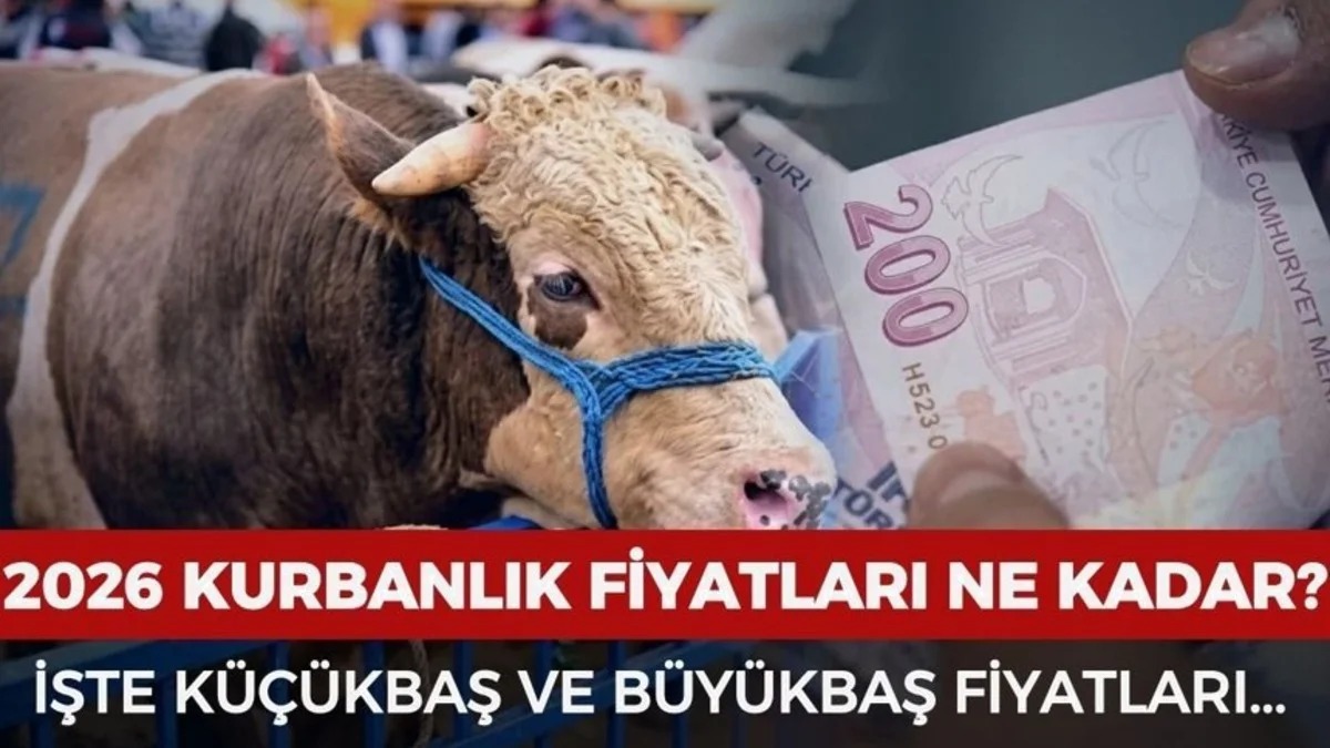 Kurbanlık Alacaklar Ne Ödeyecek? 2026 Fiyatlarında Son Durum Ve Detaylar