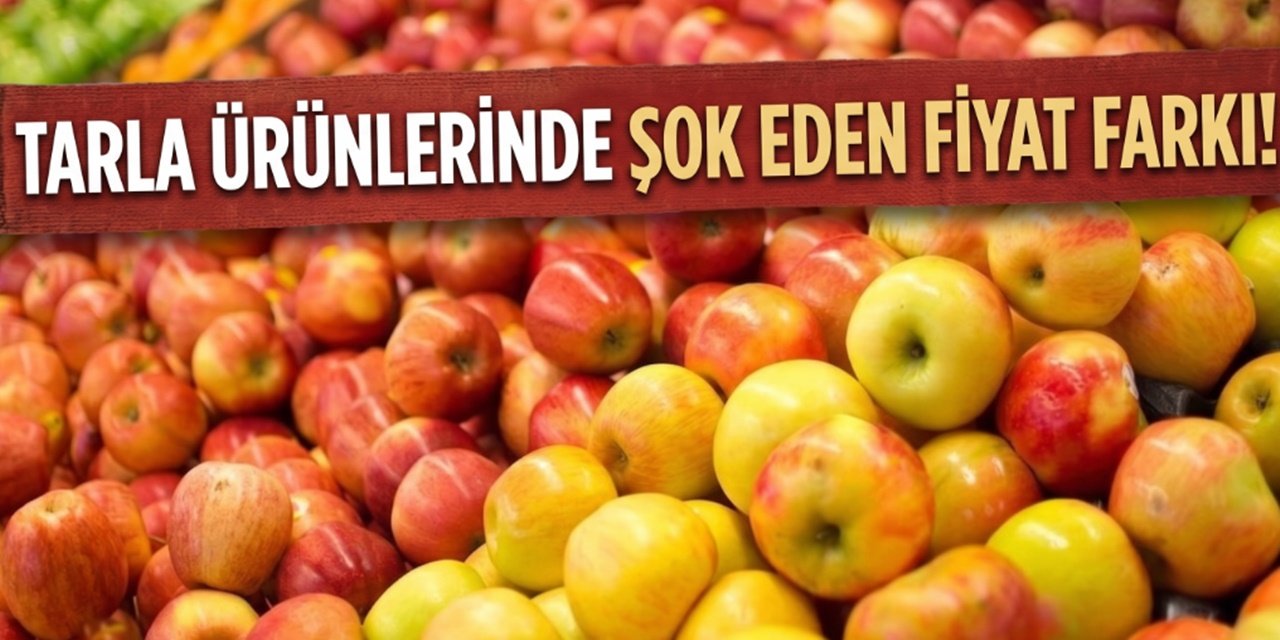 Tarladan Markete Gelen Ürünlerde Şok Fark! 1 Kalemde Yüzde 393 Fiyat Farkı Ortaya Çıktı
