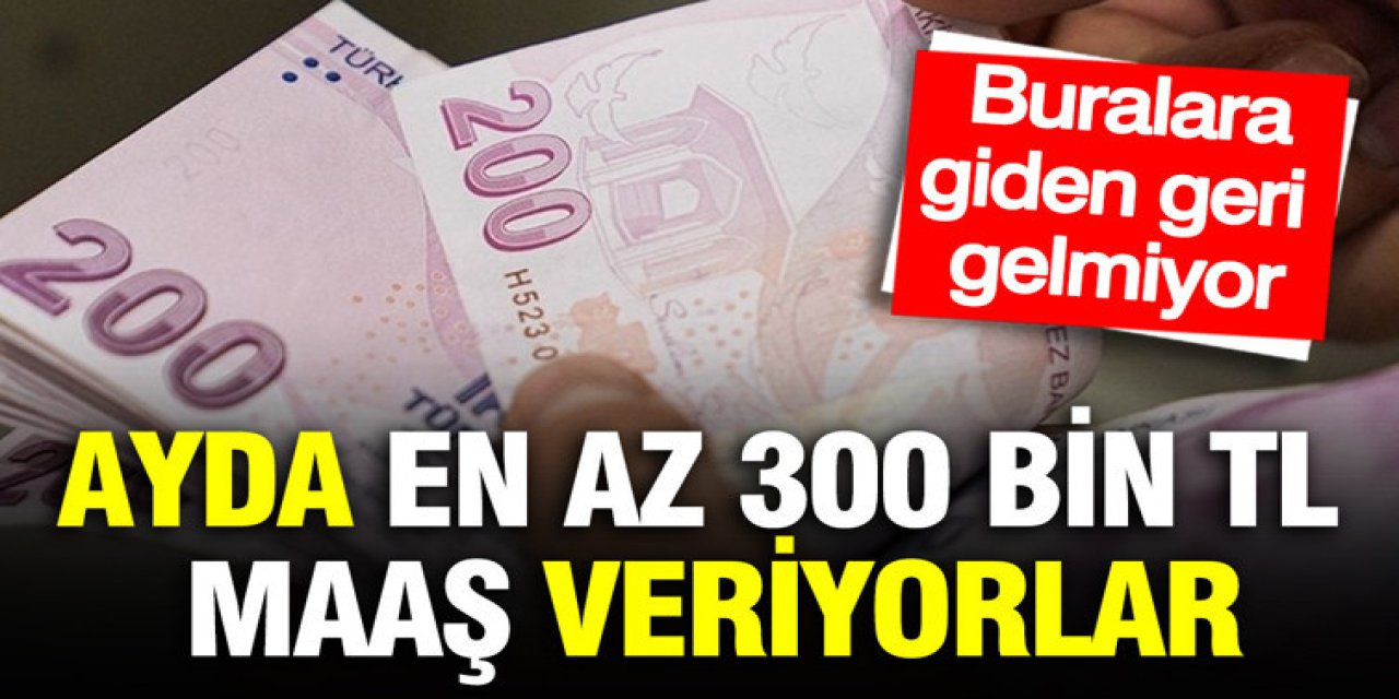 Ayda 300 Bin TL Maaş Veren Ülkeler Açıklandı: Meslekler ve Şartlar
