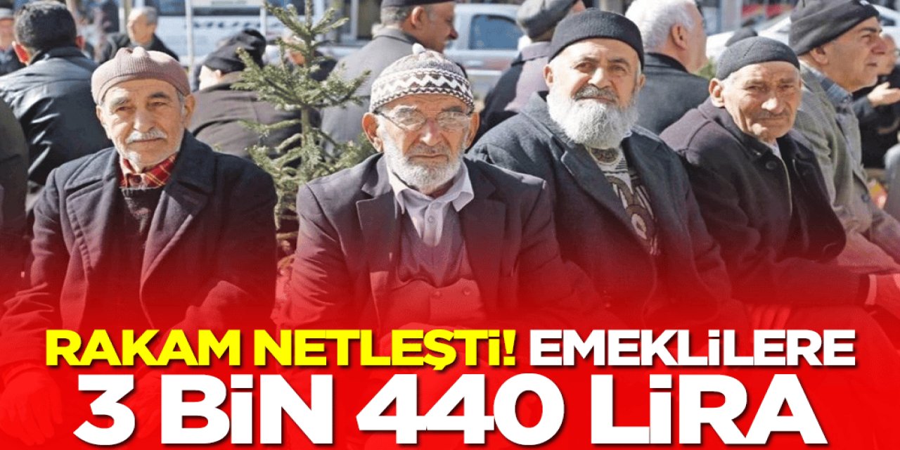 Milyonları İlgilendiren Ödeme: Emeklilere 3 Bin 440 TL Verilecek