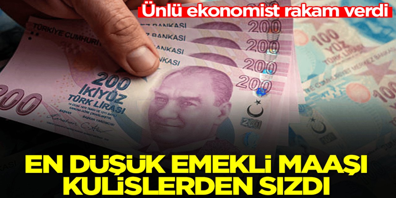 Ankara Kulisleri Hareketli: Ünlü Ekonomist Emekli Maaşı İçin Rakam Verdi