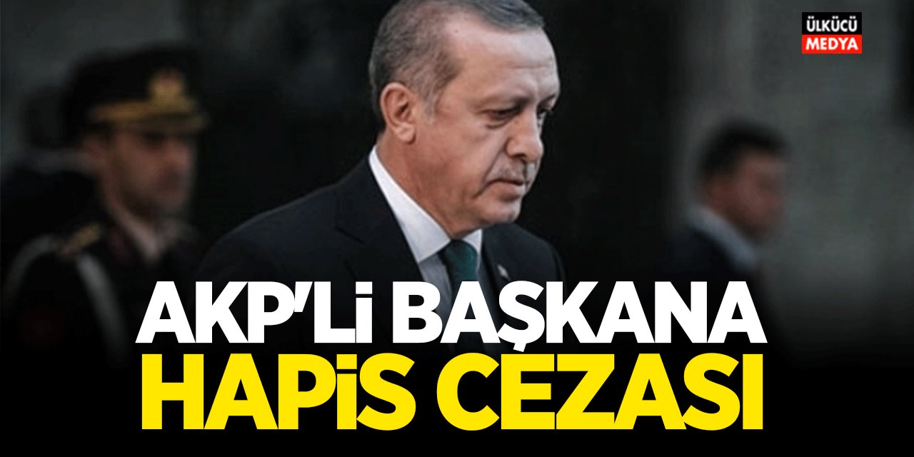 AKP'li Başkana Hapis Cezası Verildi