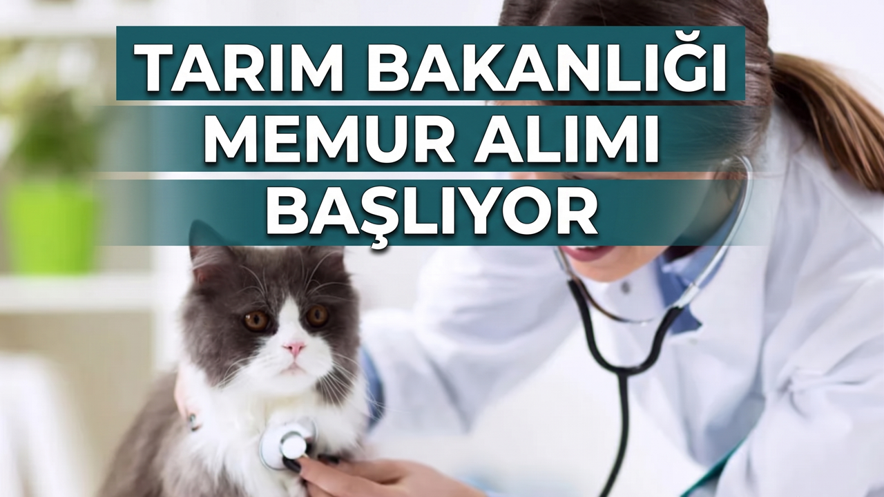 KPSS'den 50 Alanlara Duyuruldu! Tarım Bakanlığı 1874 Memur Alımı İçin Ekranı Yarın Açıyor (İşte Kadro Dağılımı)