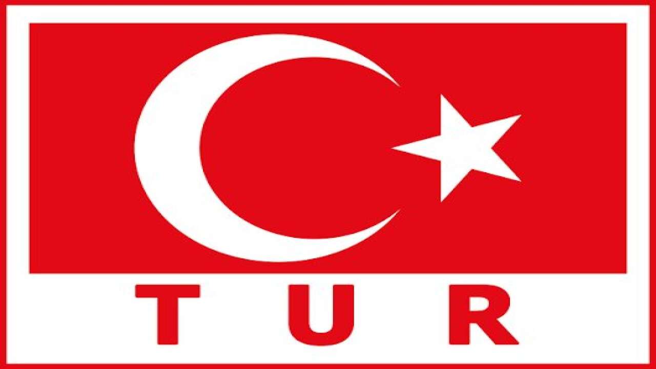 Filenin Sultanları Almanya maçı ne zaman? Türkiye-Almanya voleybol çeyrek final maçı nerede yayınlanıyor ?