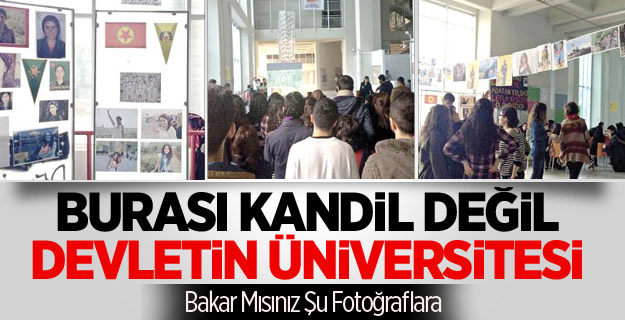 Burası Kandil Değil Devletin Üniversitesi !