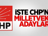 CHP'nin Milletvekili Adayları Tam Listesi 2015
