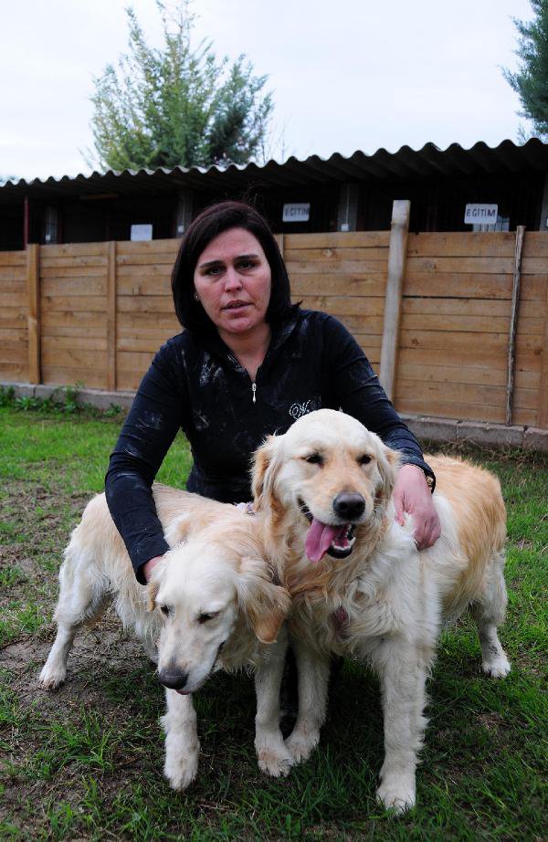 Tahliye Kararı Verilen Köpekleri İcra Memuru Aldı