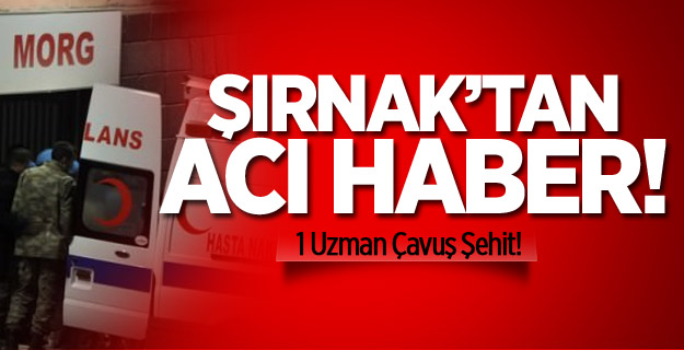 Kahpeler Şırnak'ta Saldırdı! 1 Uzman Çavuş Şehit