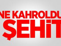 Nusaybin'de Uzman Çavuş Ethem Hacımahmutoğlu Şehit Oldu