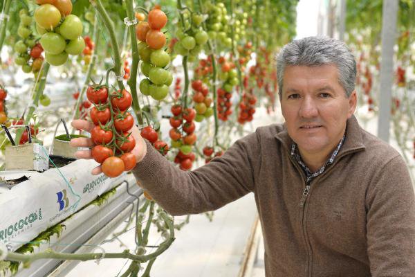 'Romantik' ve 'Şiir' Gibi Domates