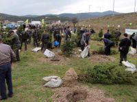 Bolu'da 300 Fidan Dikildi