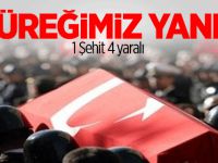 Nusaybin'de Pkk'dan Hain Tuzak: 1 Şehit, 4 Yaralı