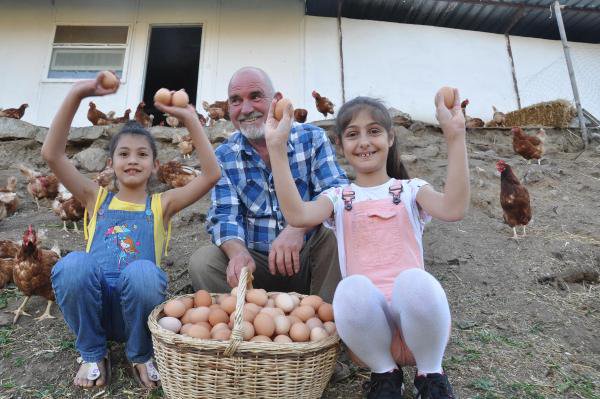 Hollanda'daki 40 Yıllık Emeği İle Tavuk Çiftliği Kurdu