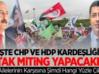 CHP ve HDP'den teröre destek mitingi!