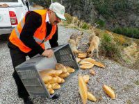 Spil Dağı'nda Yaban Hayvanlarına Yiyecek Bırakıldı