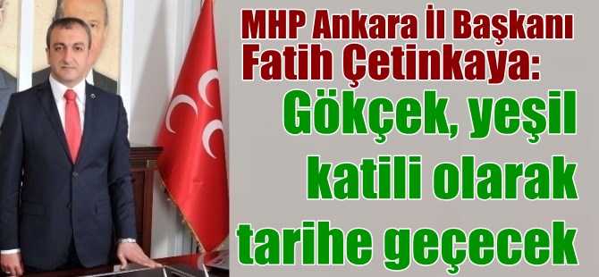 GÖKÇEK, YEŞİL KATİLİ OLARAK TARİHE GEÇECEK