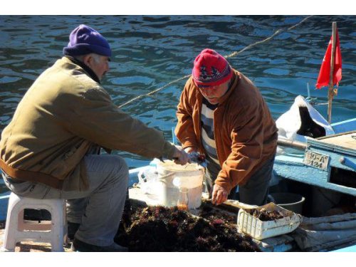 Vazgeçilemeyen Lezzet: 'Karadiken'