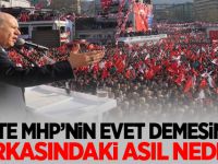 İşte MHP'nin 'Evet' demesinin arkasındaki asıl neden