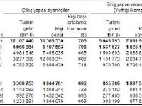 Turizm Gelirleri Yılın İlk Çeyreğinde Yüzde 17,1 Düştü