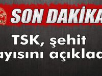 TSK, ŞEHİT SAYISI AÇIKLADI