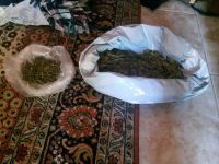 Uyuşturucu Operasyonunda 1 Kişi Gözaltına Alındı