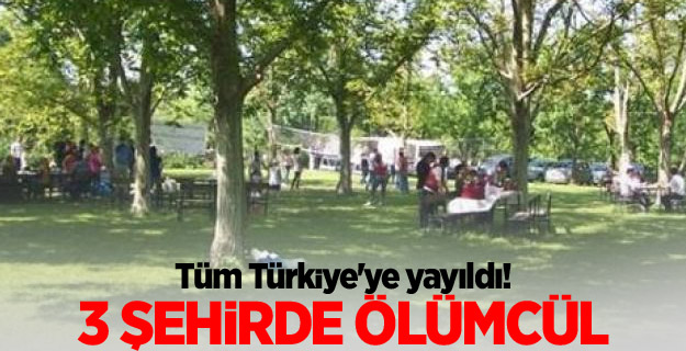 Tüm Türkiye'ye yayıldı, 3 kentte ölümcül!