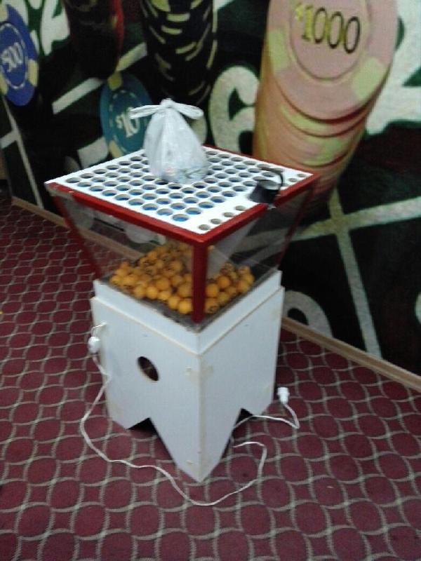 İzmir'de Kumar Operasyonu