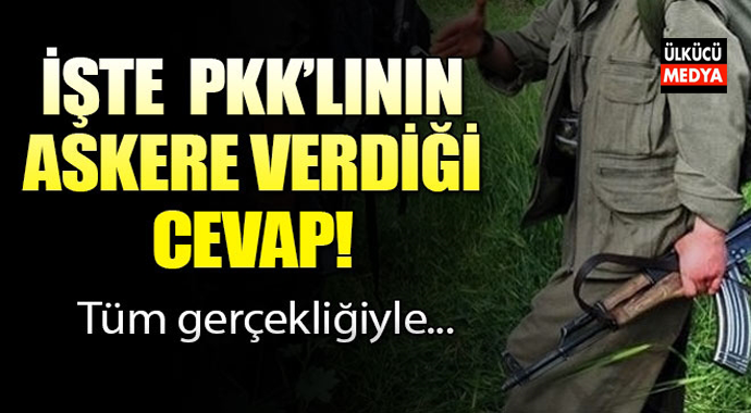 Yakalanan PKK'lıların Askere Verdiği Cevap