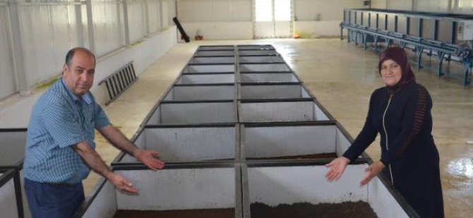 Solucanın Gübresiyle Borçlarını Sıfırladı, 4 De Tesis Kurdu