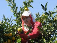 'Türkiye'de İstihdamdaki 8 Milyon Kadından Yarısı Kayıt Dışı'