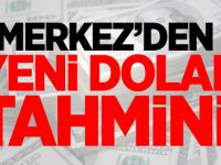 Merkez Bankası'ndan yeni dolar tahmini
