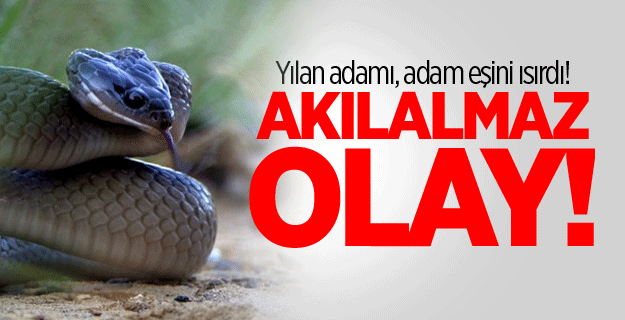 Yılan adamı, adam eşini ısırdı! Akılalmaz sebep...