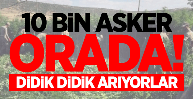 10 Bin Asker Orada ve Didik didik arıyorlar !