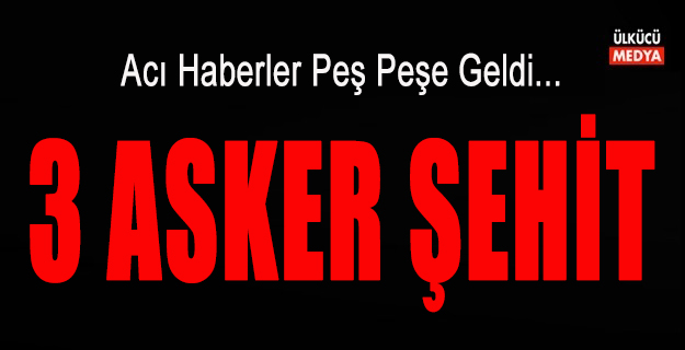 Erzurum ve Çukurda'dan Acı Haberler Geldi: 3 Asker Şehit