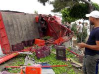 İşçi Taşıyan Kamyonet TIR'a Çarptı: 3 Ölü, 5 Yaralı