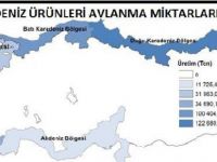 Su Ürünleri Üretimi 2016 Yılında Yüzde 12.4 Azaldı