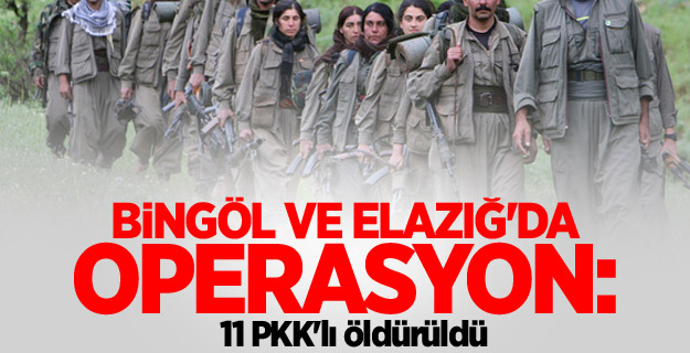 Bingöl ve Elazığ'da operasyon
