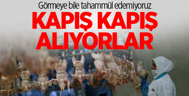 Pilicin budundan çok ayağı ihraç ediliyor