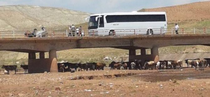 Takla Atan Otomobilden Fırlayan 2 Kişiyi Yolcu Otobüsü Ezdi